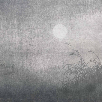Papier peint panoramique Lune Argent Perle Stella Cadente