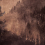 Carta da parati panoramica For&ecirc;t de Sapin Stella Cadente Sepia SC015BAA