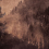 Papier peint panoramique Forêt de Sapin Stella Cadente Sépia SC015BAA