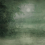 Papeles pintados panorámico Sous Bois Stella Cadente Vert SC016AAA