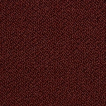 Sherpas Fabric