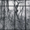 Papier peint panoramique Casa de Vidro Coordonné Off Frame 9000055
