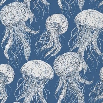 Jelly Fish Bloom Wallpaper