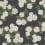 Carta da parati Hydrangea Rifle Paper Co. Black/White RI5146