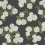 Papel pintado Hydrangea Rifle Paper Co. Black/White RI5146