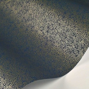 Champagne Dots Wallpaper Linen/White Rifle Paper Co.