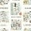 City Maps Wallpaper Rifle Paper Co. Mint RI5160