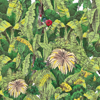 Papier peint panoramique Jardin Vegetal 344x300 cm - 5 lés Maison Images d'Epinal