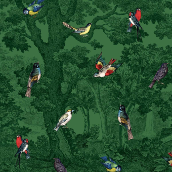 Panneau Forêt aux Oiseaux 316x300 cm - 5 lés Maison Images d'Epinal