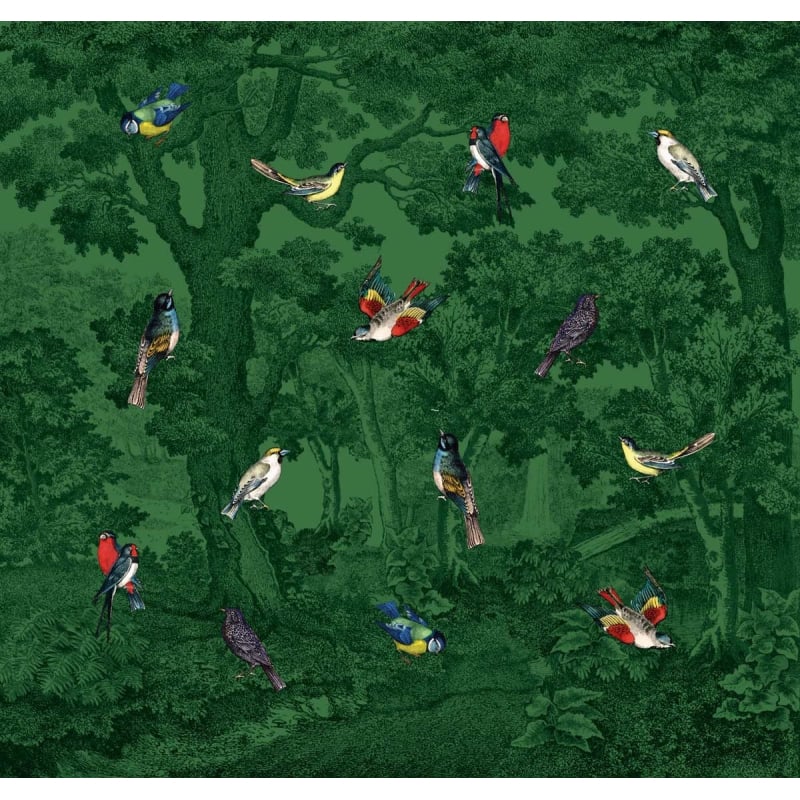 Forêt aux Oiseaux Panel Maison Images d'Epinal