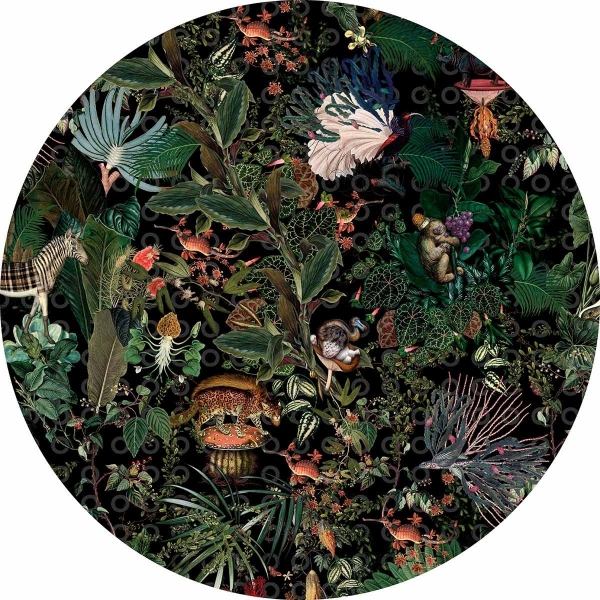 Tapis Carré Herbier de plantes éteintes - 250 x 250 cm - Moooi