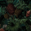 Papeles pintados panorámico Tropical Pineapple Pascale Risbourg Mulberry PINBRY90