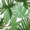 Carreau Tropical Francesco De Maio Bianco tropical-bianco-53x53-1box