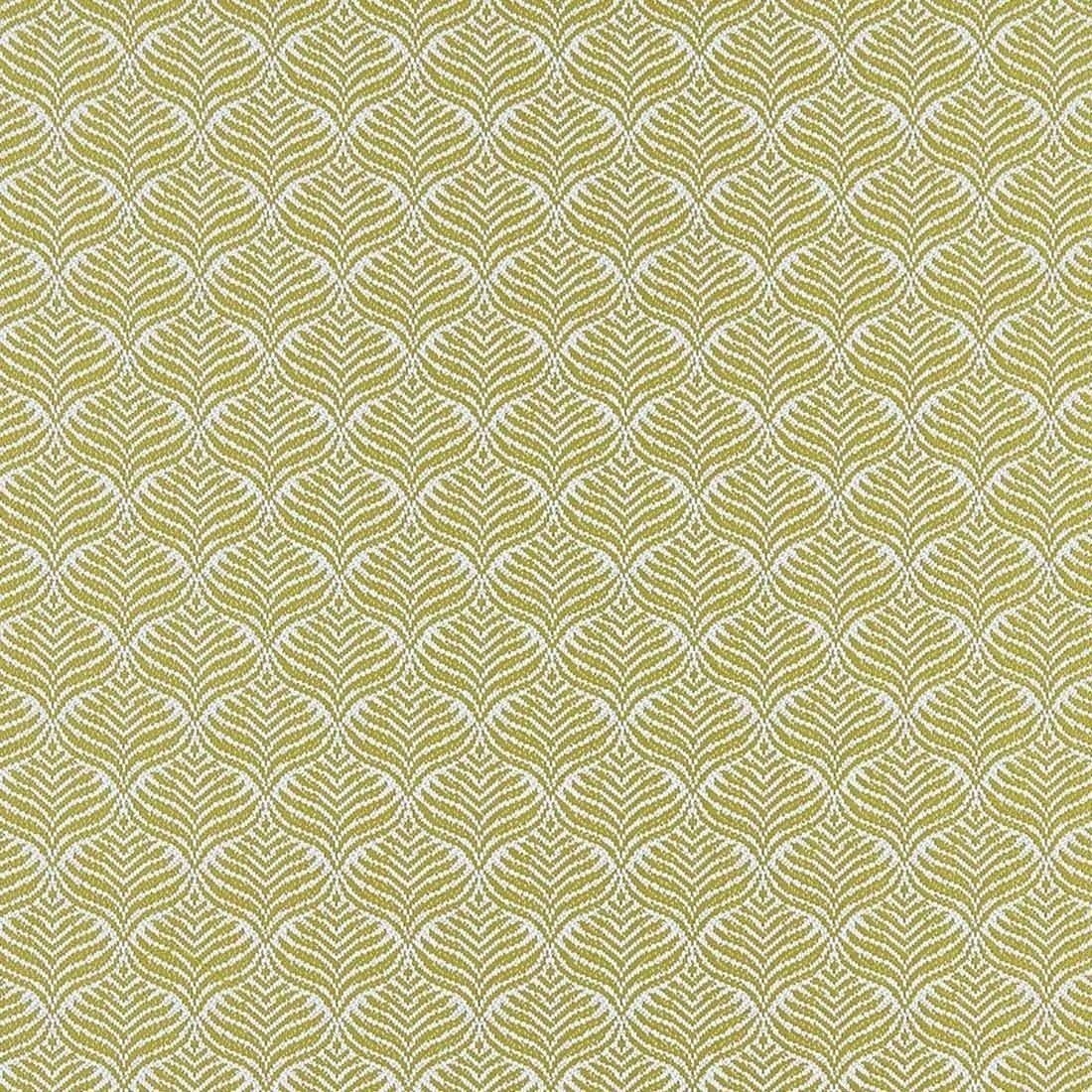 Calathea Outdoor Fabric - Osborne and Little