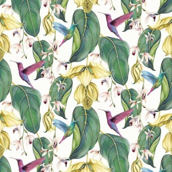 Tissu Trailing Orchid Outdoor