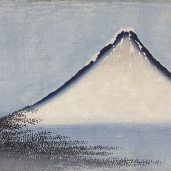 Fuji Bleu Panel