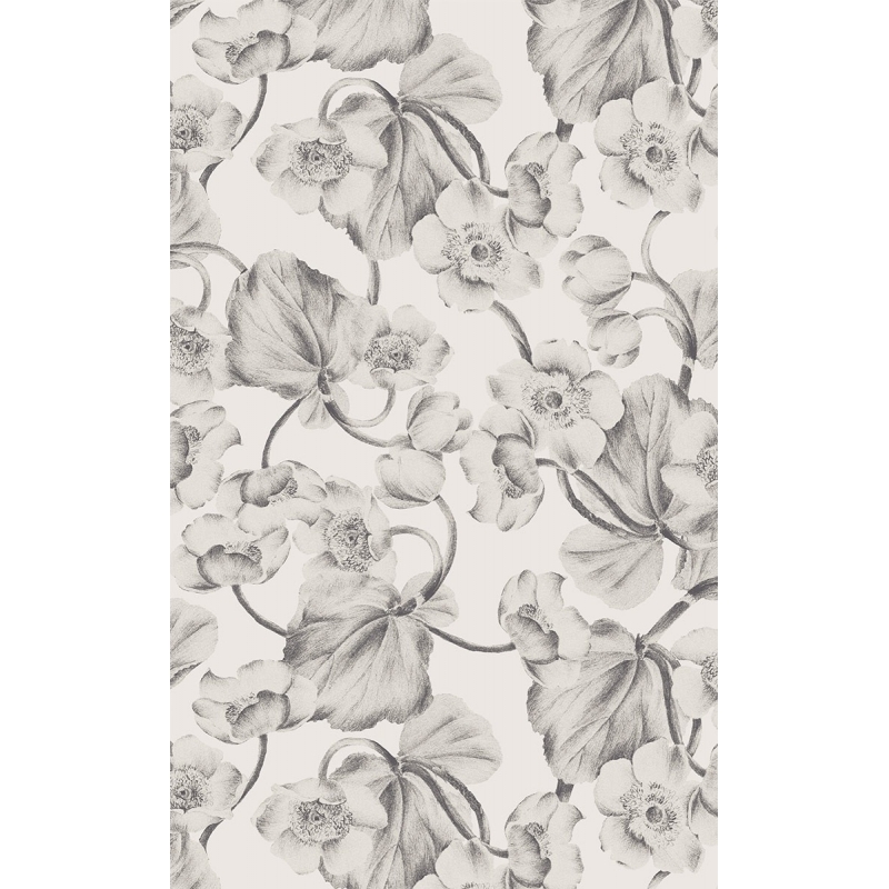 Anemone Wallpaper Masureel