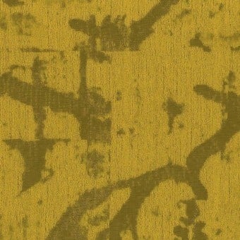 Tela Ruskin