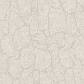 Papier peint Elephant - Skin