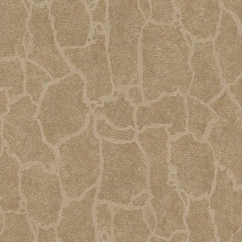 Elephant Wallpaper