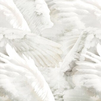 Panoramatapete Wings Dulce Inkiostro Bianco