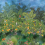 Carta da parati panoramica Arancione Grove Matthew Williamson Garden W7493-01