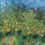 Panoramatapete Orange Grove Matthew Williamson Garden W7493-01