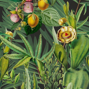 Carta da parati Murale Luscious Flora Tropical Mindthegap