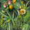 Luscious Flora Panel Mindthegap Tropical WP20518
