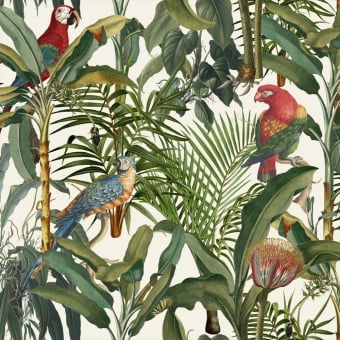 Panoramatapete Parrots Of Brasil