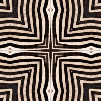 Serengeti Panel
