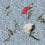 Papier peint panoramique Exotic Feathers Code Dusk/Blue B2902 intissé