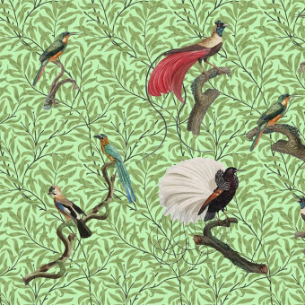 Papier peint panoramique Exotic Feathers