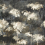 Papier peint panoramique Selva Casamance Noir 74110394