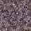 Papier peint panoramique Animalia Code Purple B8205 intissé