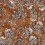 Papeles pintados panorámico Primavera Romana Code Orange B7604 intissé
