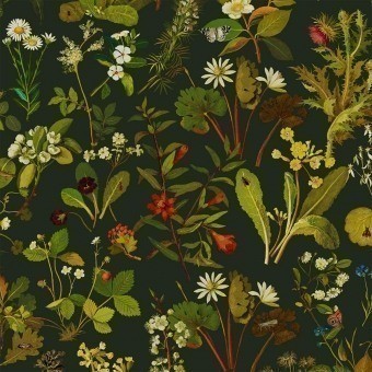 Papier peint Herbarium Forest Green House of Hackney