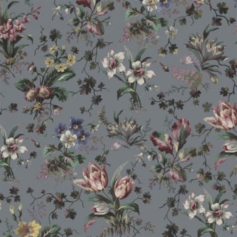 Tulipa Wallpaper