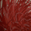 Panneau tissu Kyojin K3 design by Kenzo Takada Rosso 1Y8Q021-561