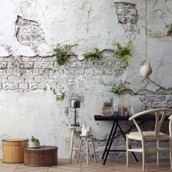 Papier peint panoramique Plants & Brick Wall Plants & Brick Wall Les Dominotiers