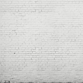 Panoramatapete White Brick Wall