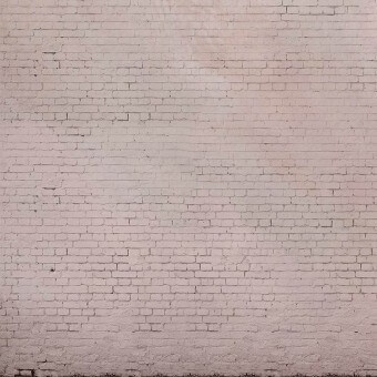 Carta da parati panoramica Pink Brick Wall