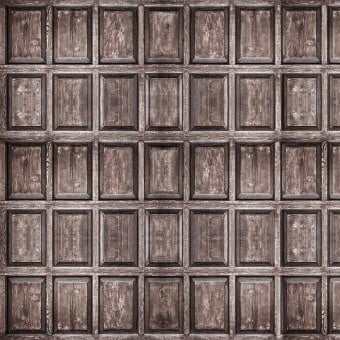 Old Wood Panels Panel