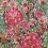 Bouquet Lalie Fabric Lalie Design Multicolore Bouquet Multicolore