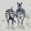 Dazzle Wallpaper Juliet Travers Pastel /JTDA01