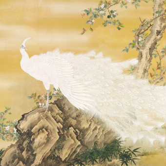 Papier peint panoramique Fuji Flutter