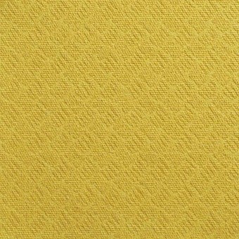 Castor Fabric