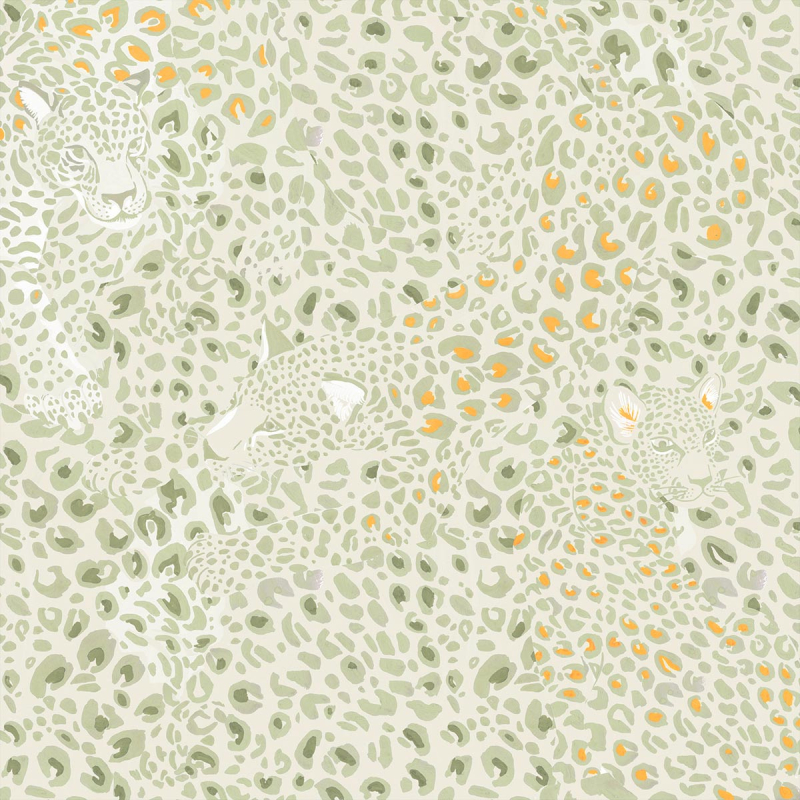 Cheetah Wallpaper Little Cabari