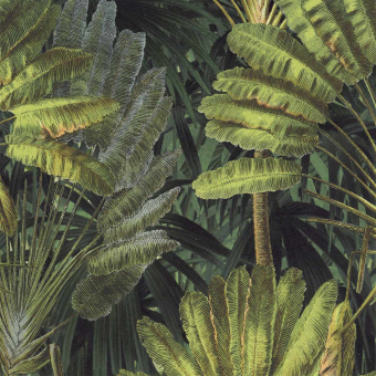 Tessuto Traveller's Palm