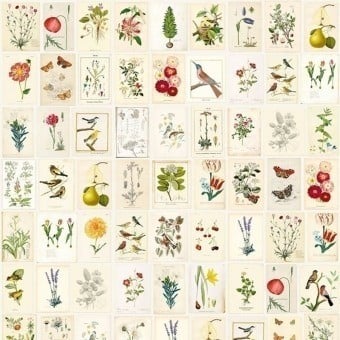 Panoramatapete Botanical